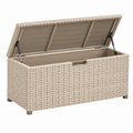 Arcón de exterior 130 x 60 x 65 cm de ratán sintético beige con tapa elevable