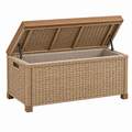 Arcón de almacenamiento 120 x 55 x 65 cm de ratán sintético beige con tapa elevable para exterior